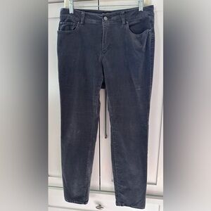 ANN TAYLOR CHARCOAL GREY VELVET 5 POCKET PANTS Curvy Size 10 Petite